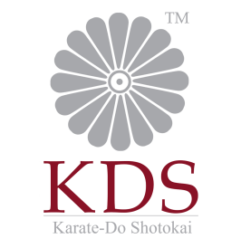 kds logo pour FB